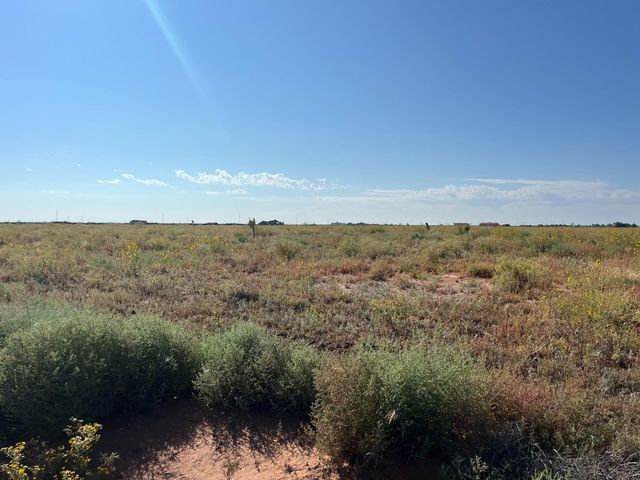 $65,000 | 0 Us Highway 385 | Levelland