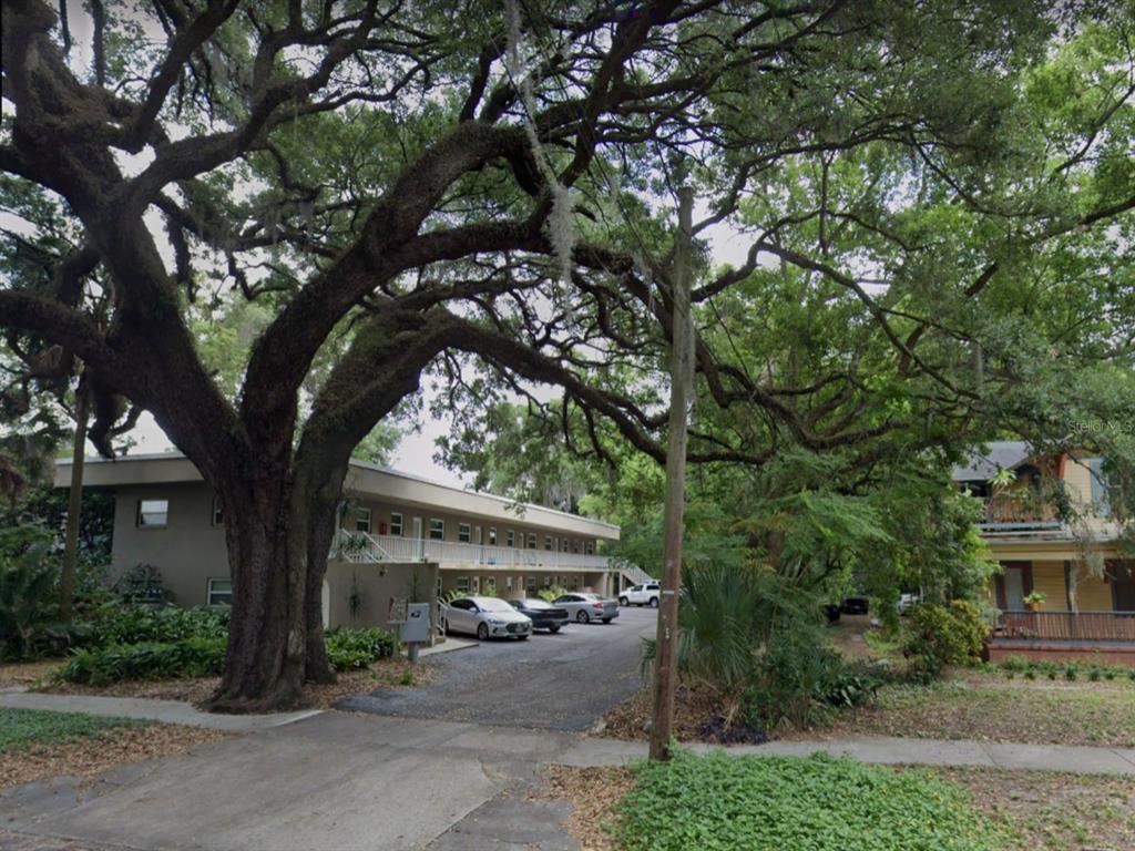 a view of a street with a tree