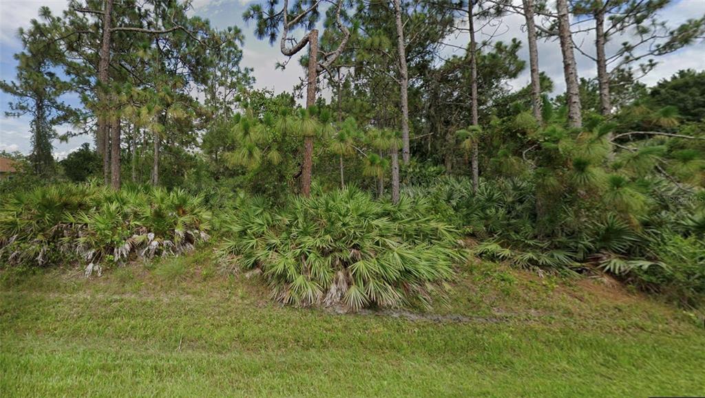 a view of a big yard with large trees