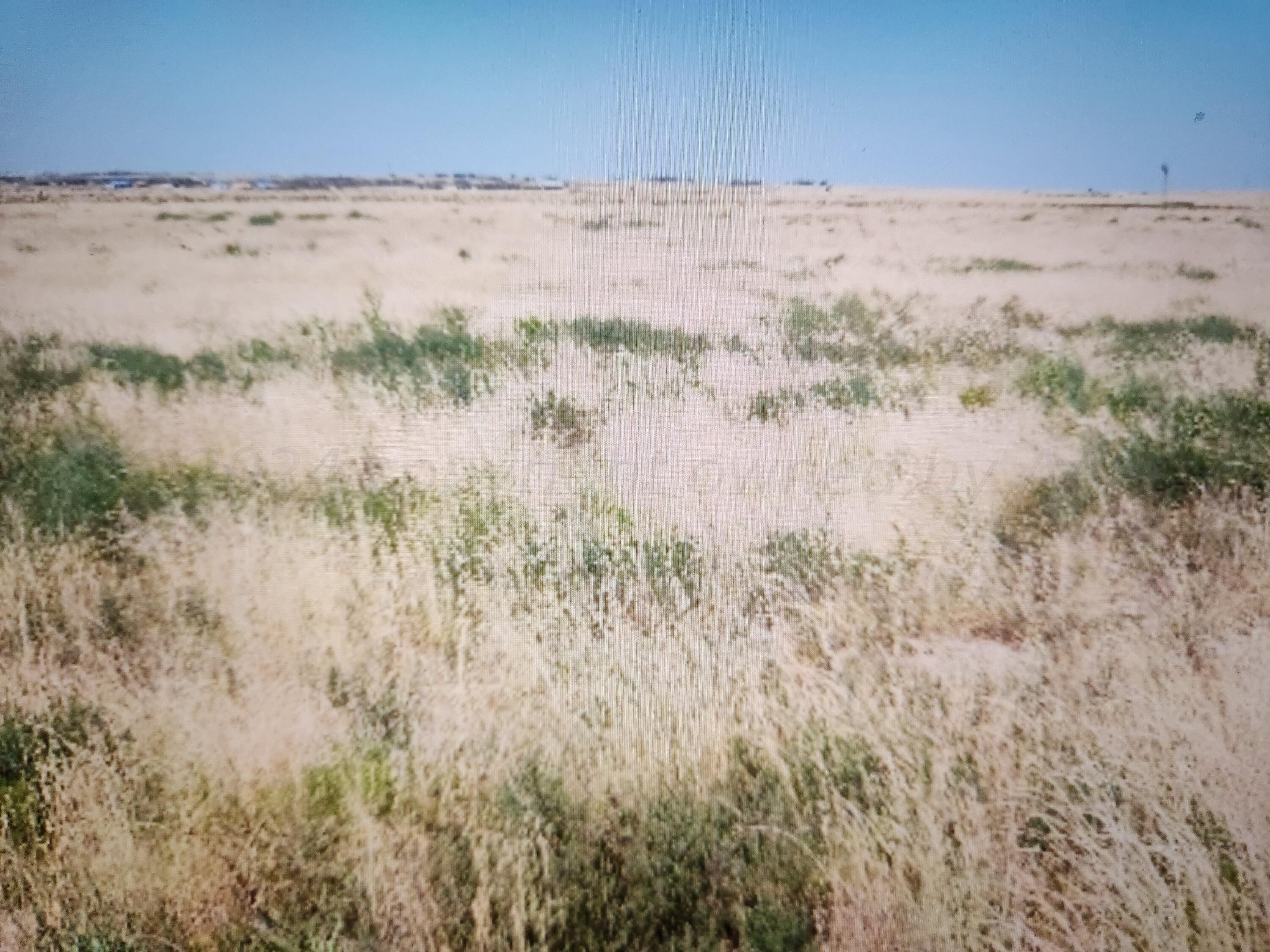 a view of beach and ocean