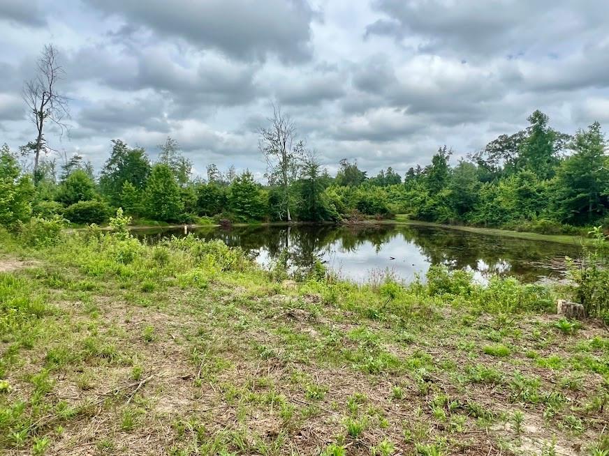 a view of a lake with a big yard