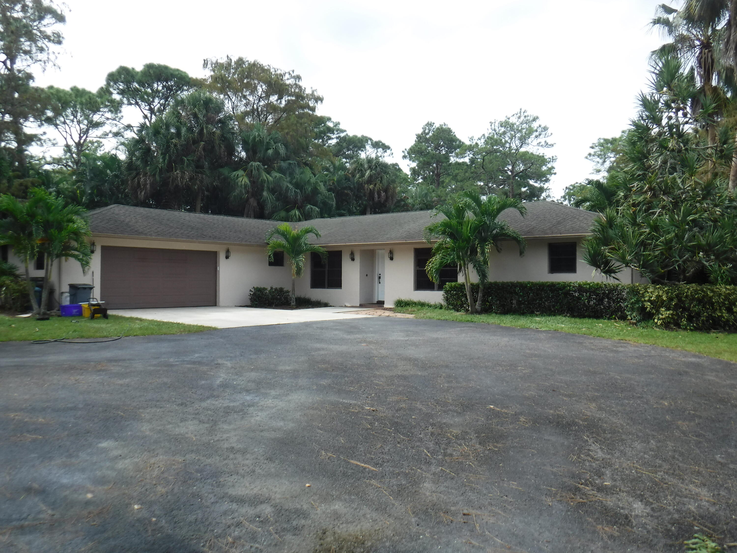 a view of a house with a yard and large tree