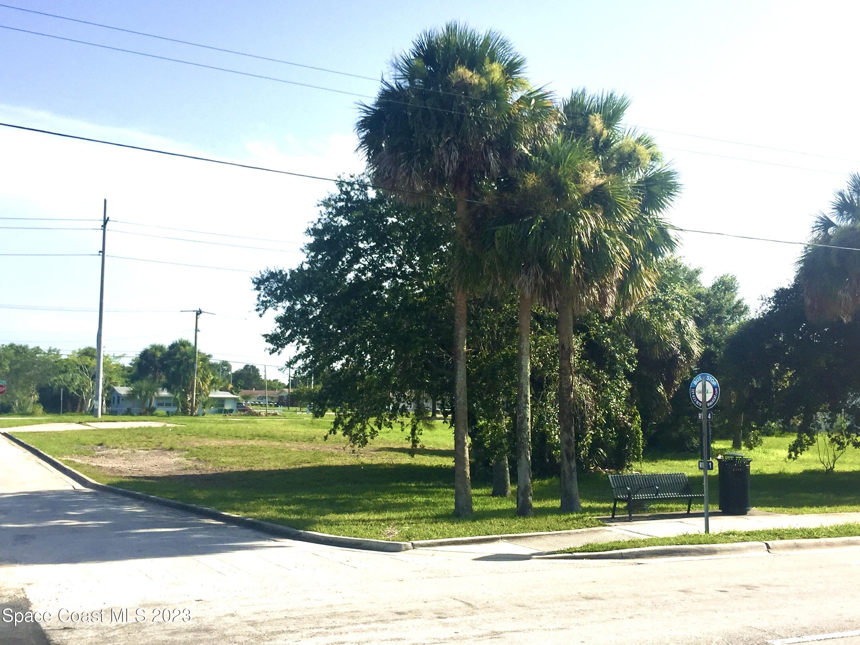 a view of a swimming pool with a yard and palm trees