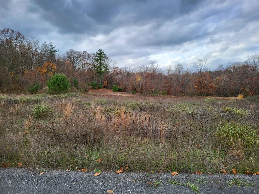 a view of a field with trees in background