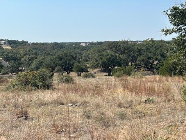 a view of a dry yard with trees