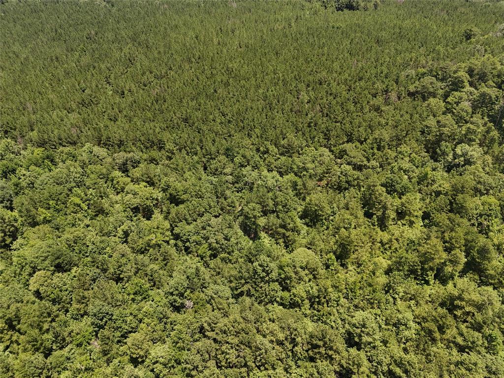 a view of a lush green field