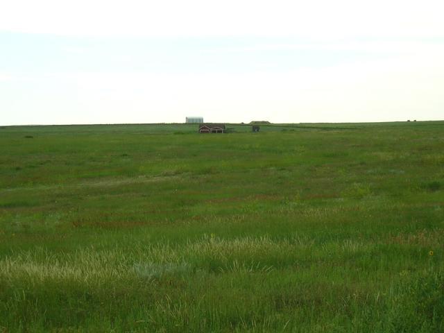 a view of a field with an ocean