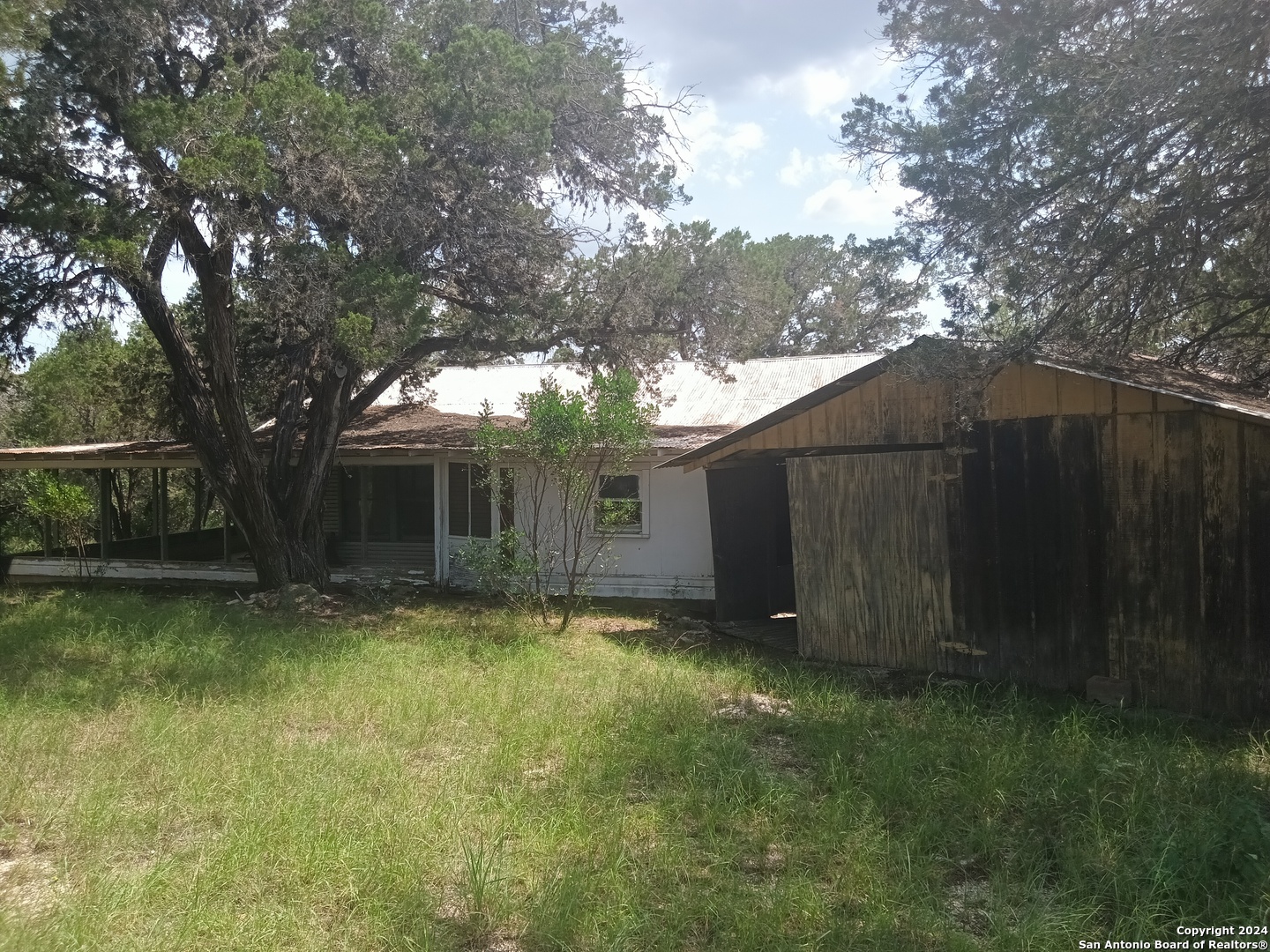 a view of a backyard with large trees and a small cabin