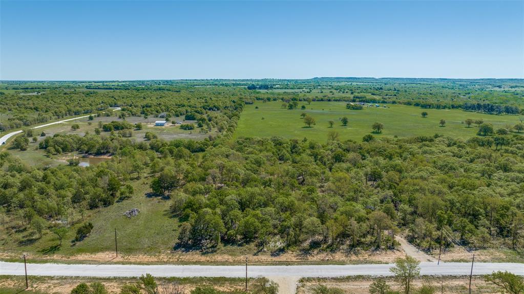 an aerial view of green landscape with trees