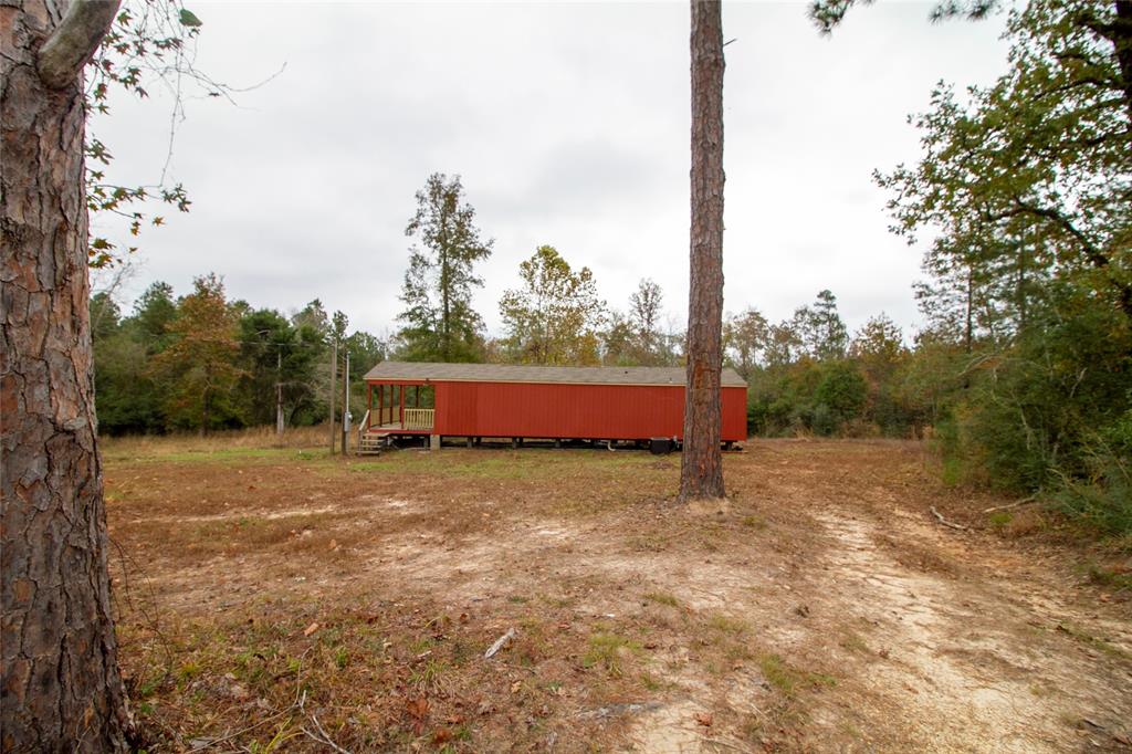 a view of a yard with an tree