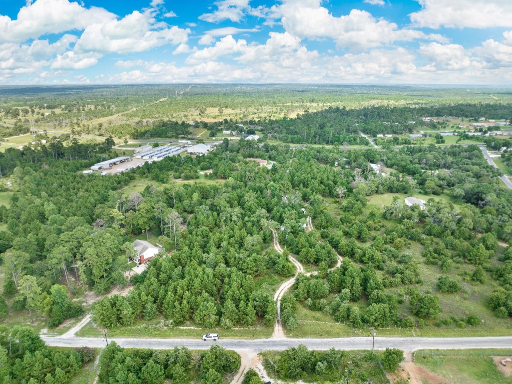 a view of a city with lush green forest