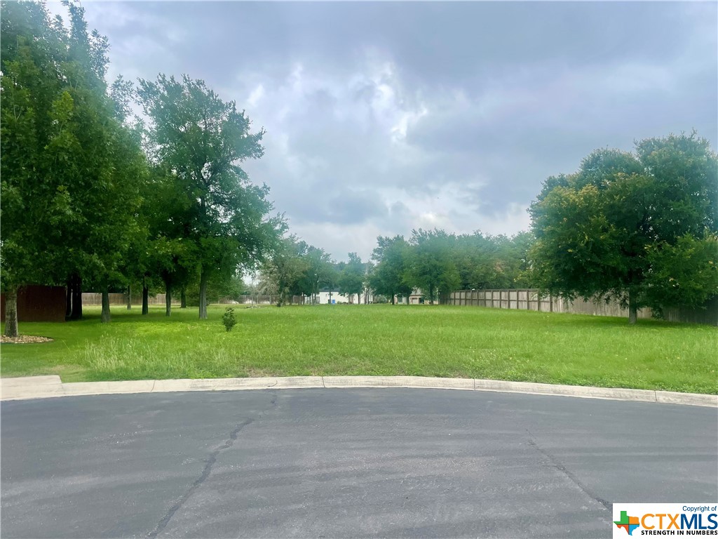 a view of outdoor space and yard