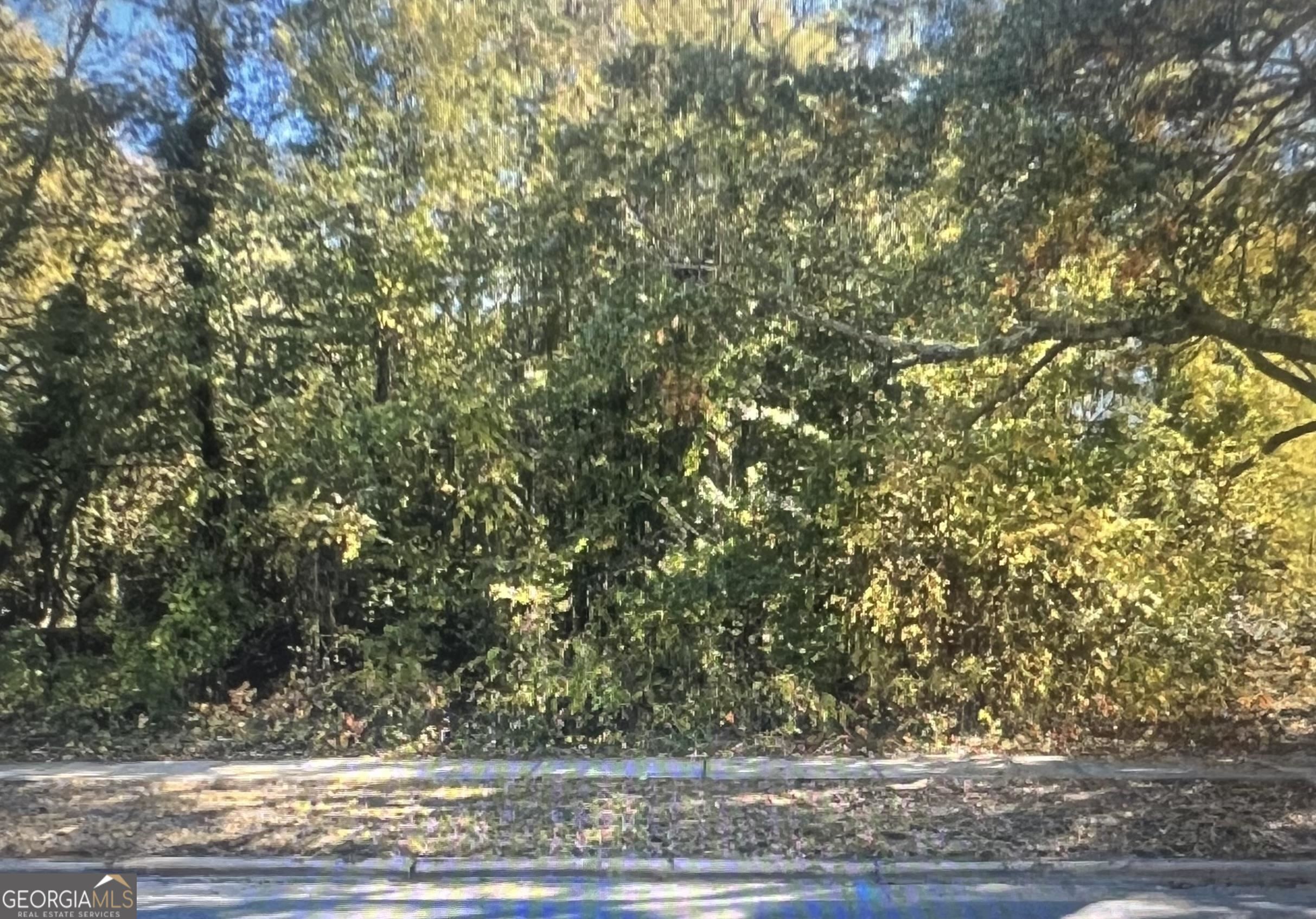 a view of a yard and an entryway