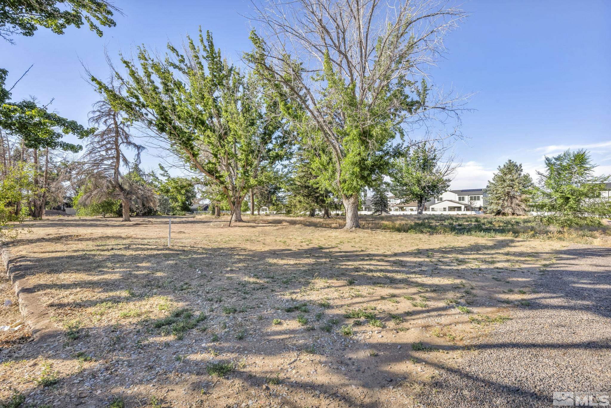 a view of yard with large trees