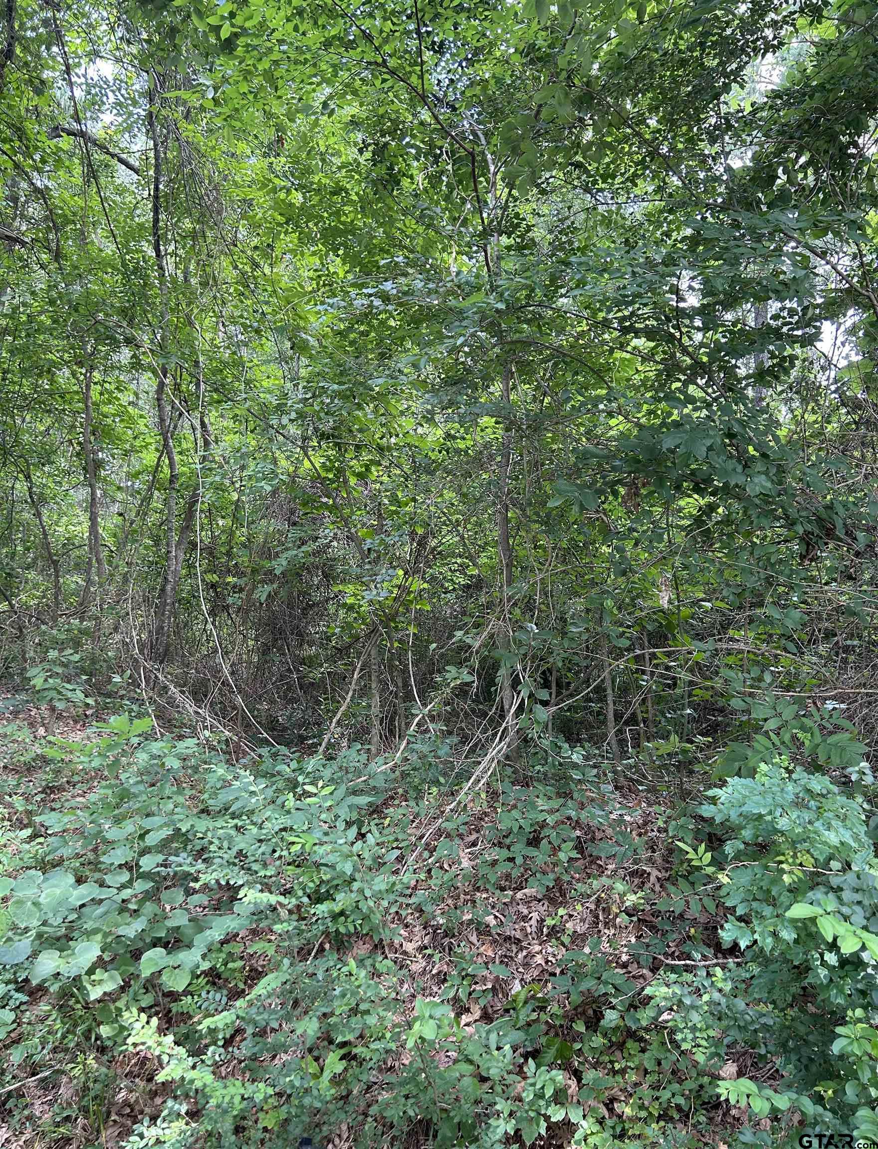 a view of outdoor space and green space