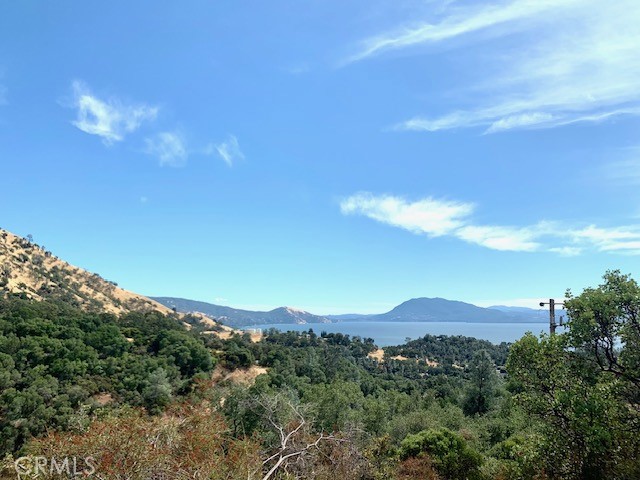 Panoramic View from the Top of the Property