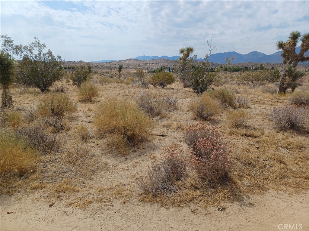 a view of a dry yard with mountains in the background