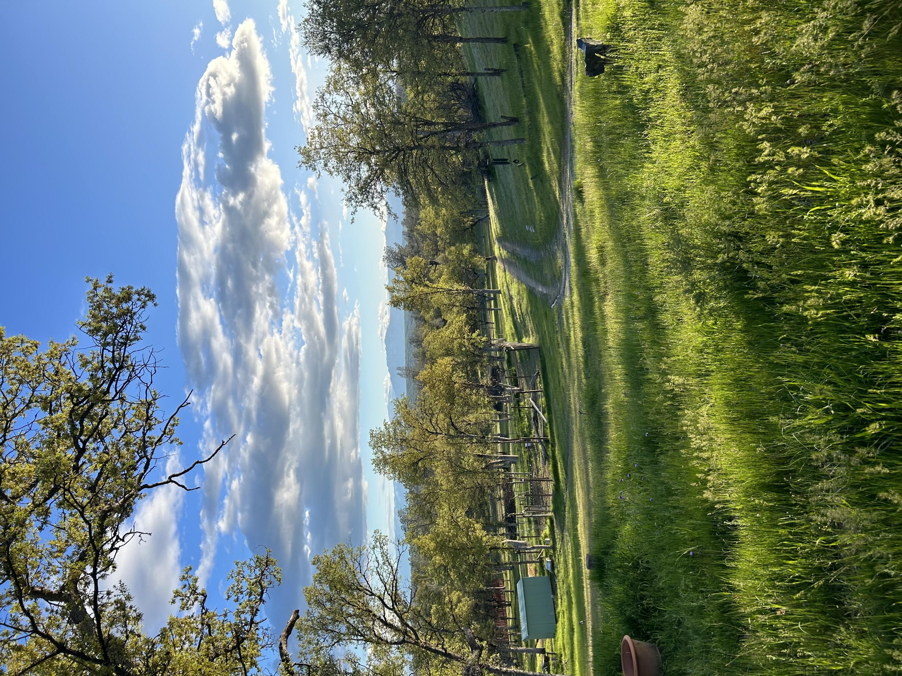 a view of a golf course with a lake