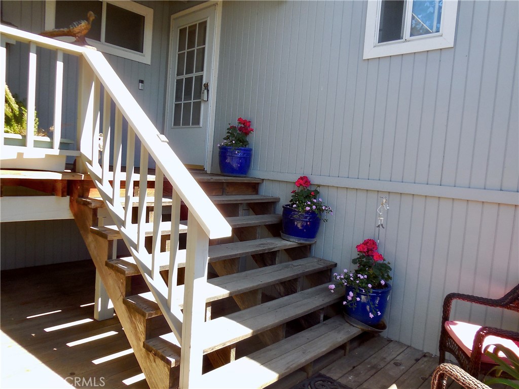 a view of stairs and flowers