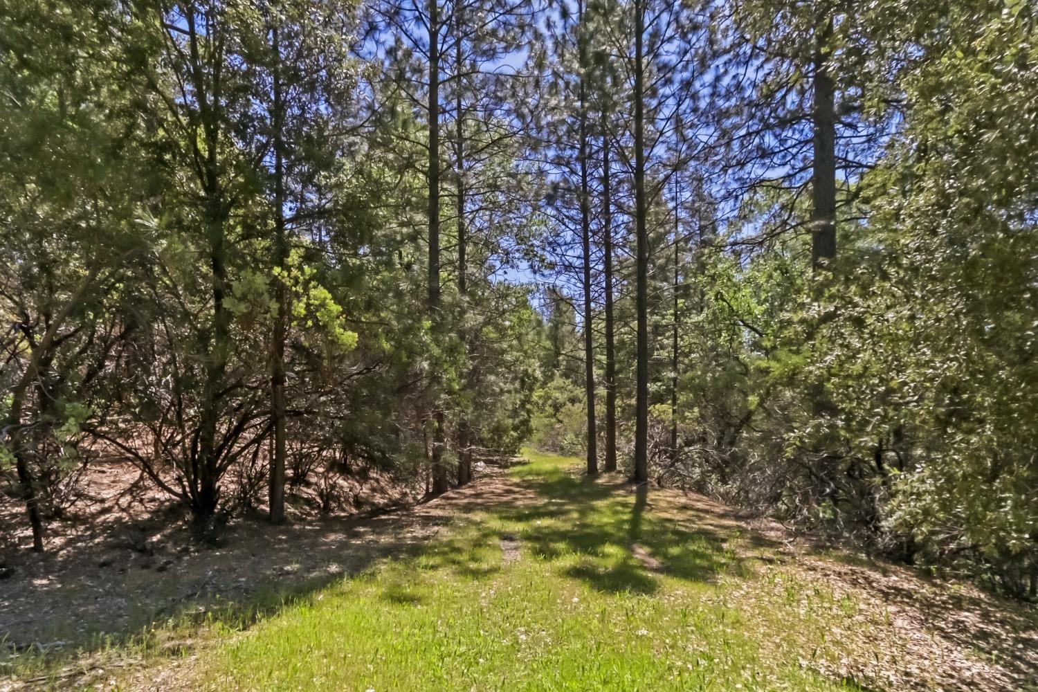 a view of lake view