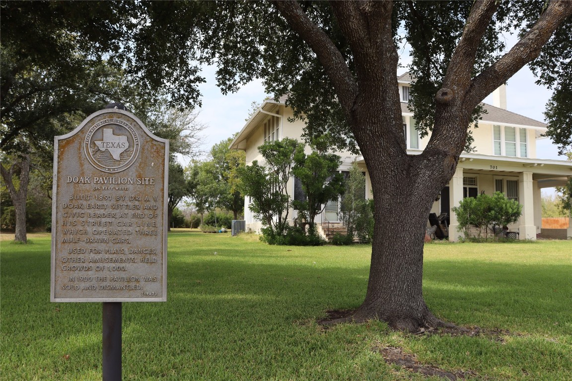 a view of a tree in front of a house with a big yard