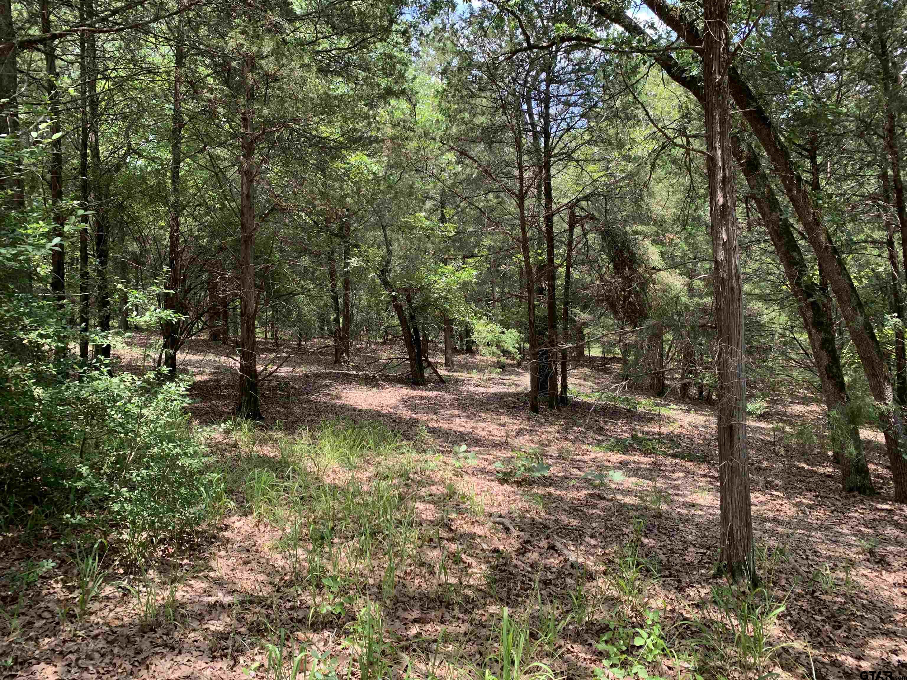 a view of outdoor space with trees