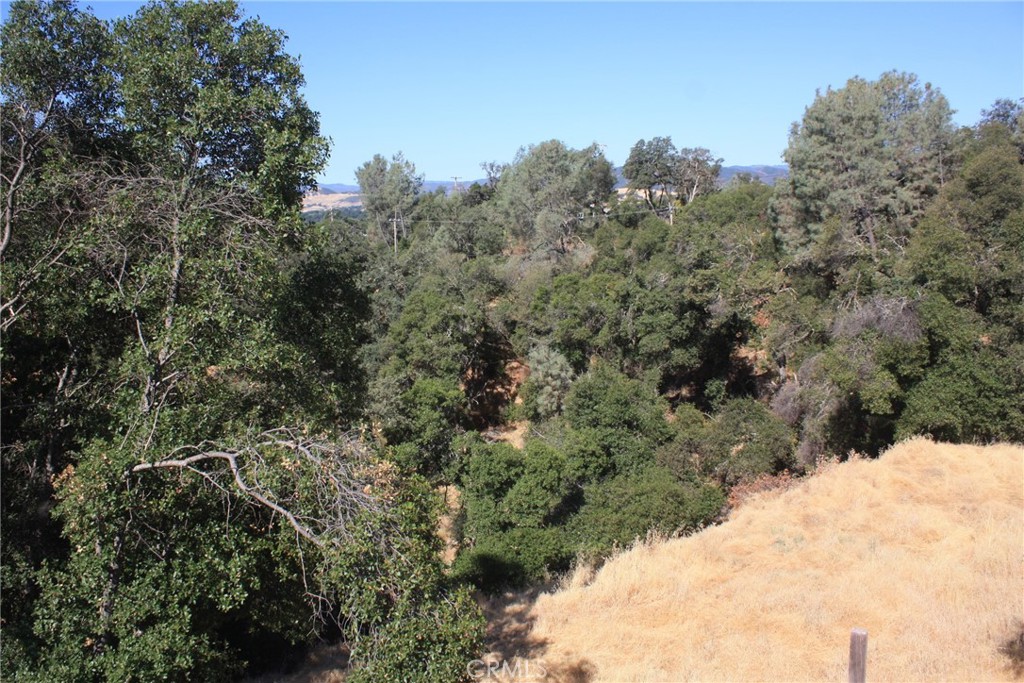 a view of a large yard with lots of bushes