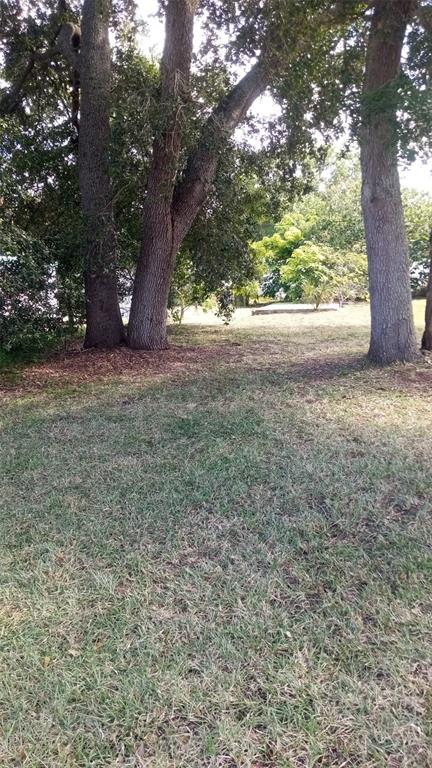 a view of outdoor space and yard