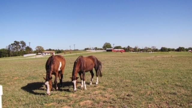 $3,000 | 0 Tara Shenandoah Hilltop Lakes | Hilltop Lakes