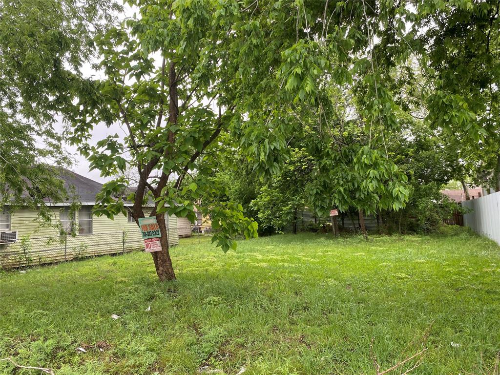 a view of a green field with a tree