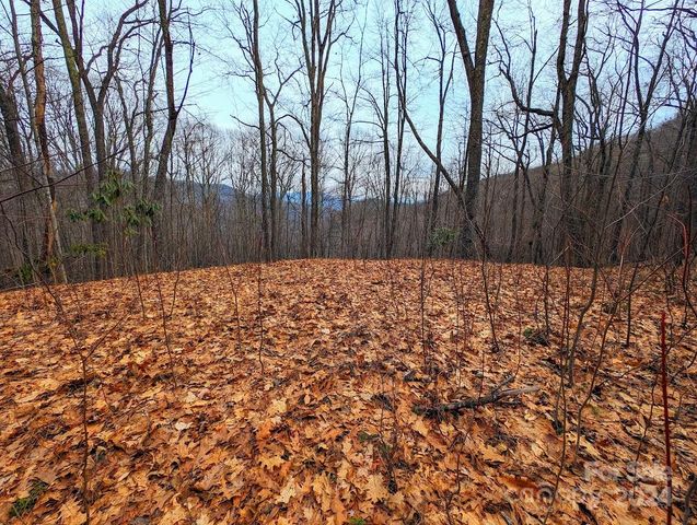 $44,900 | 0 Adcock Mountain Road | Jonathan Creek Township - Haywood County