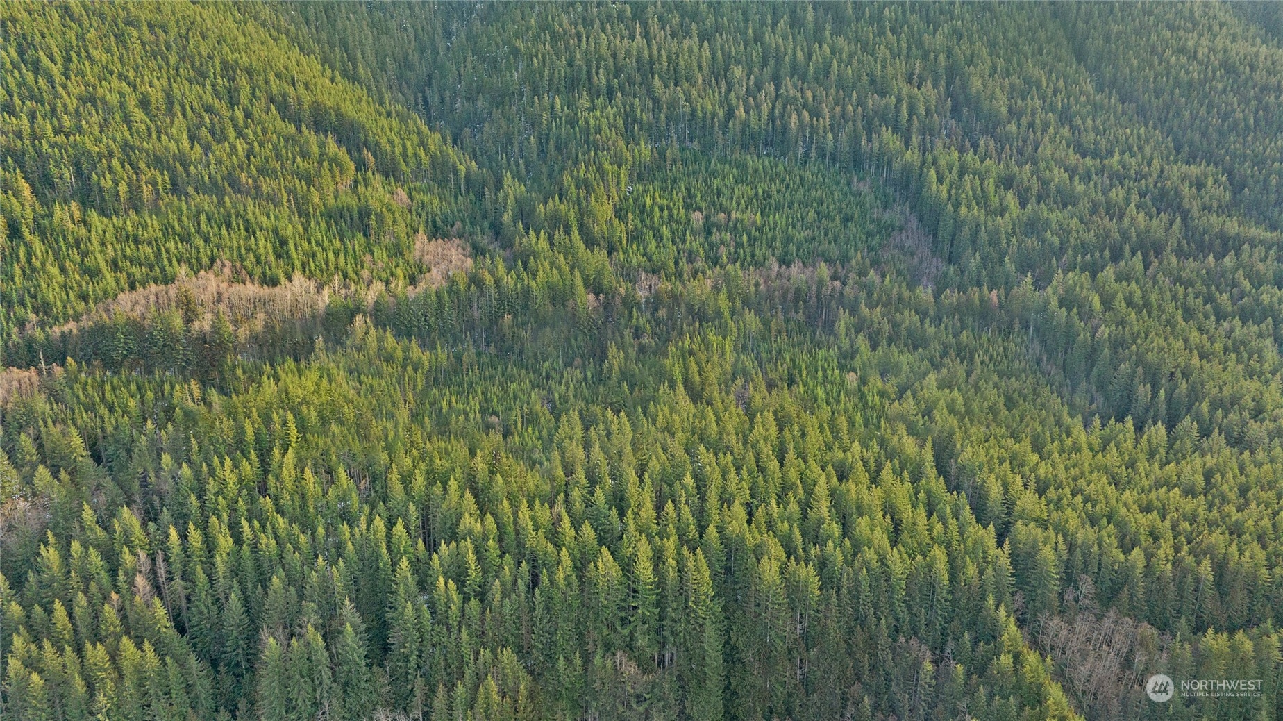 a view of a lush green space