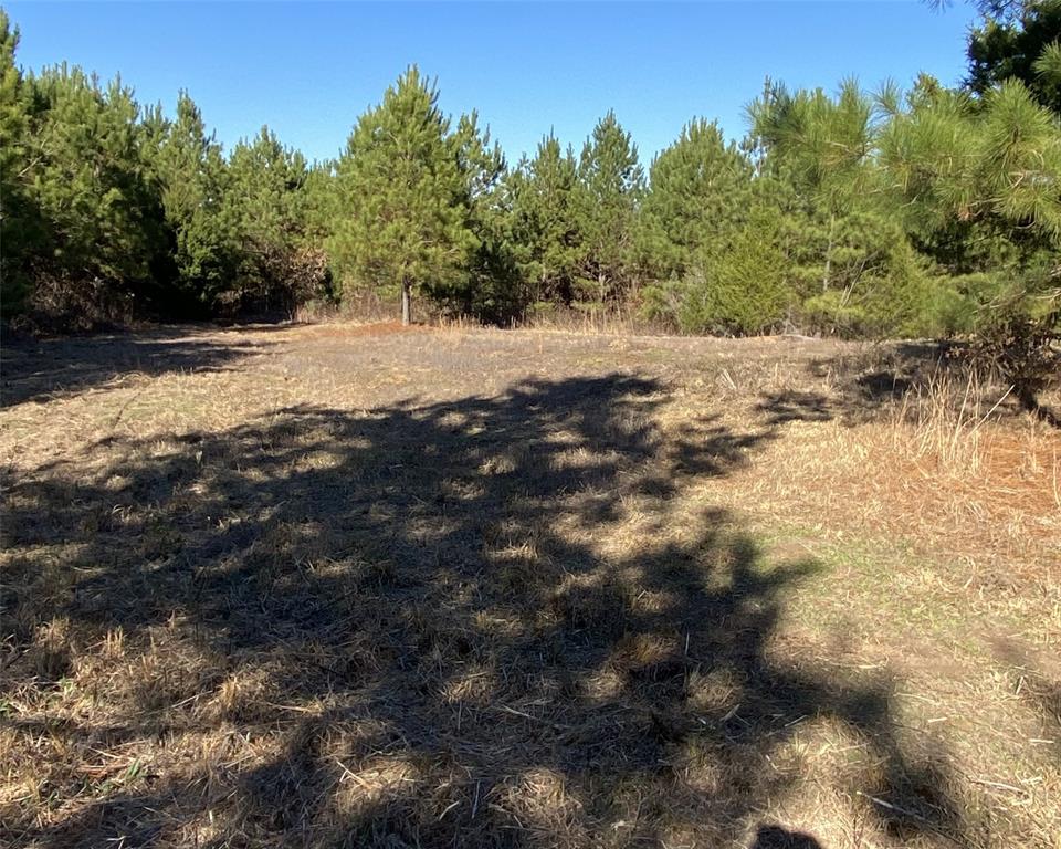 a view of a yard with a tree