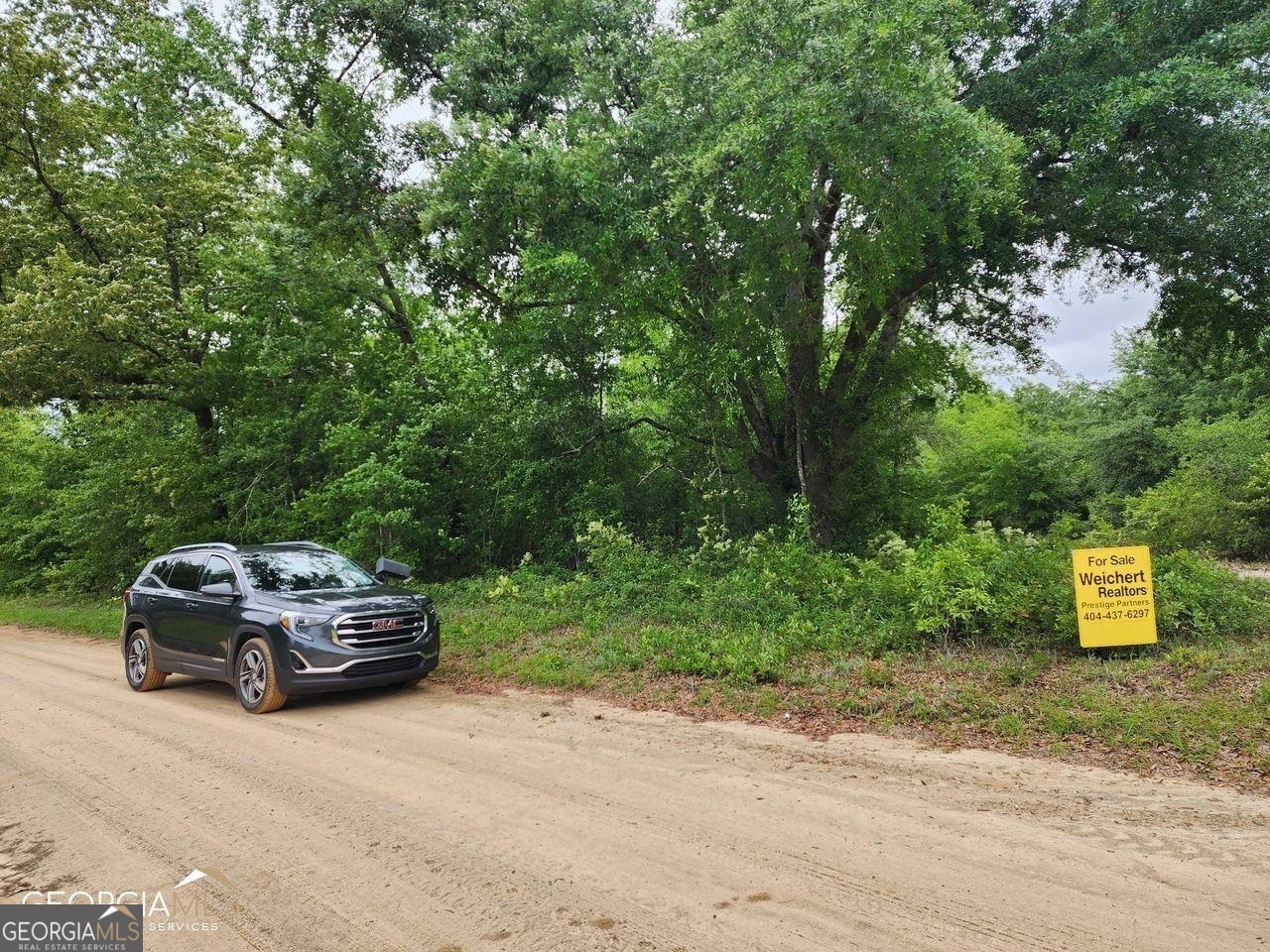 a car parked in a forest