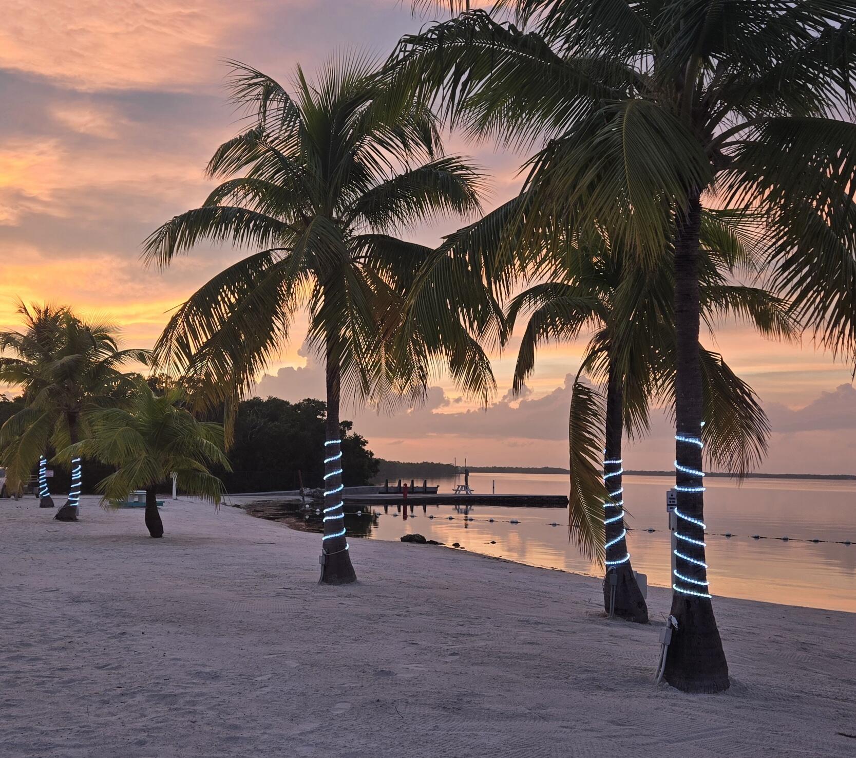 a view of outdoor space with palm trees