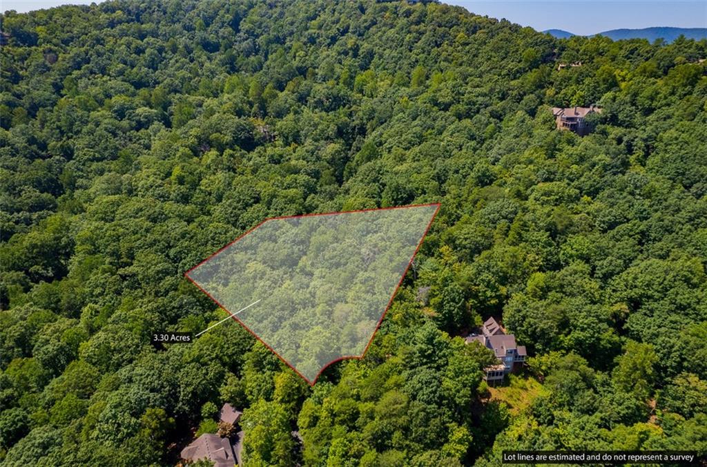 a view of a forest with a building