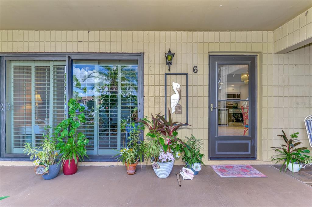 a potted plant sitting in front of a house