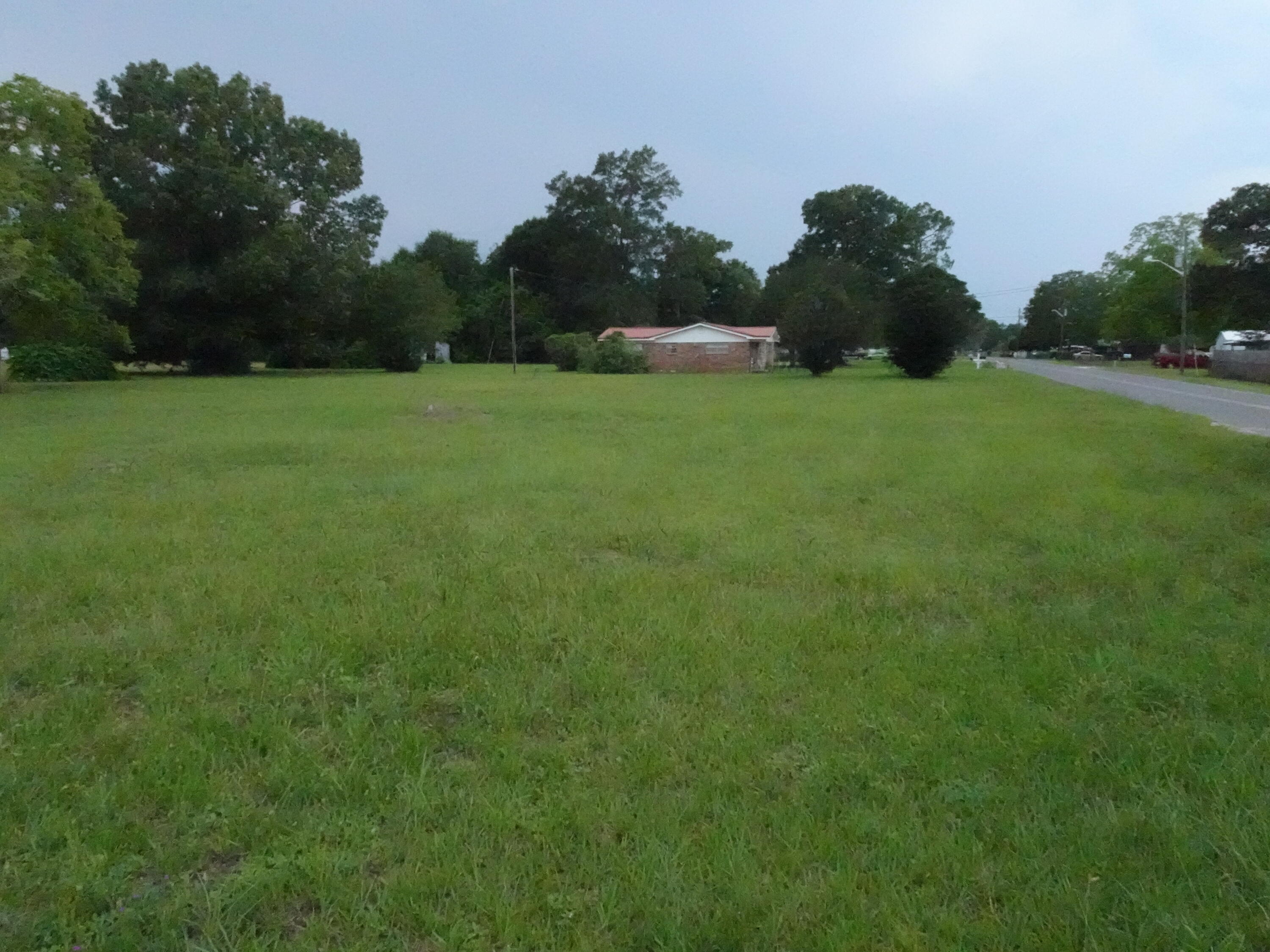 a view of a field of grass and trees