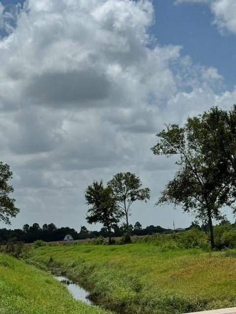 a view of yard with green space