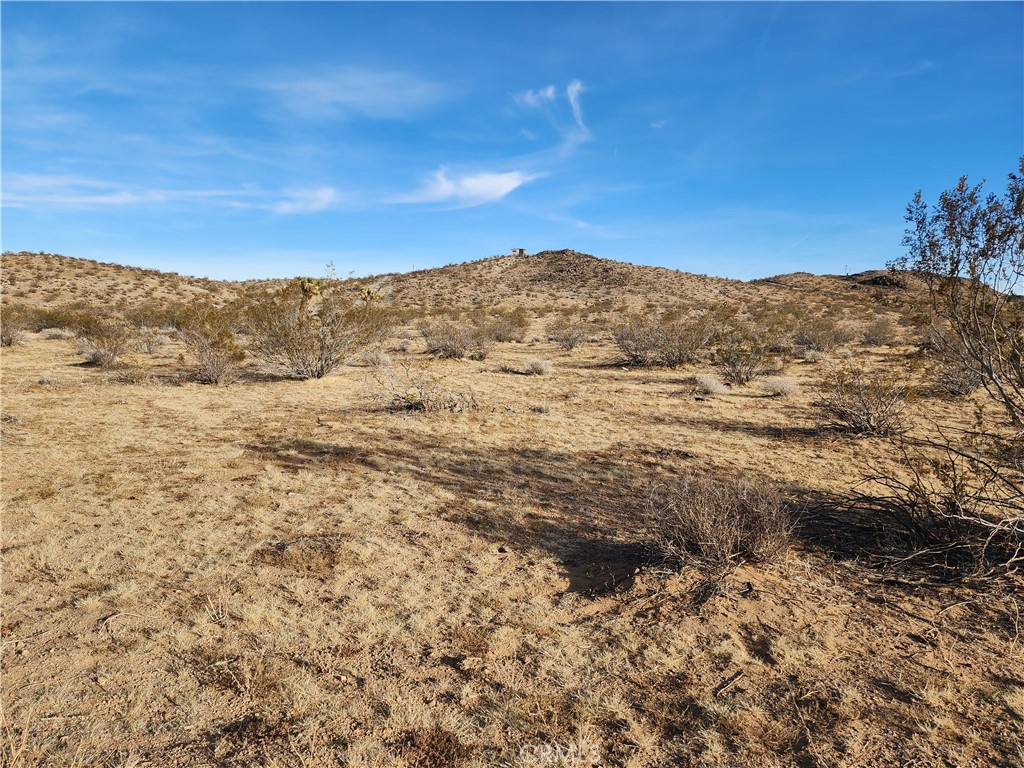 a view of a dry yard with mountains in the background