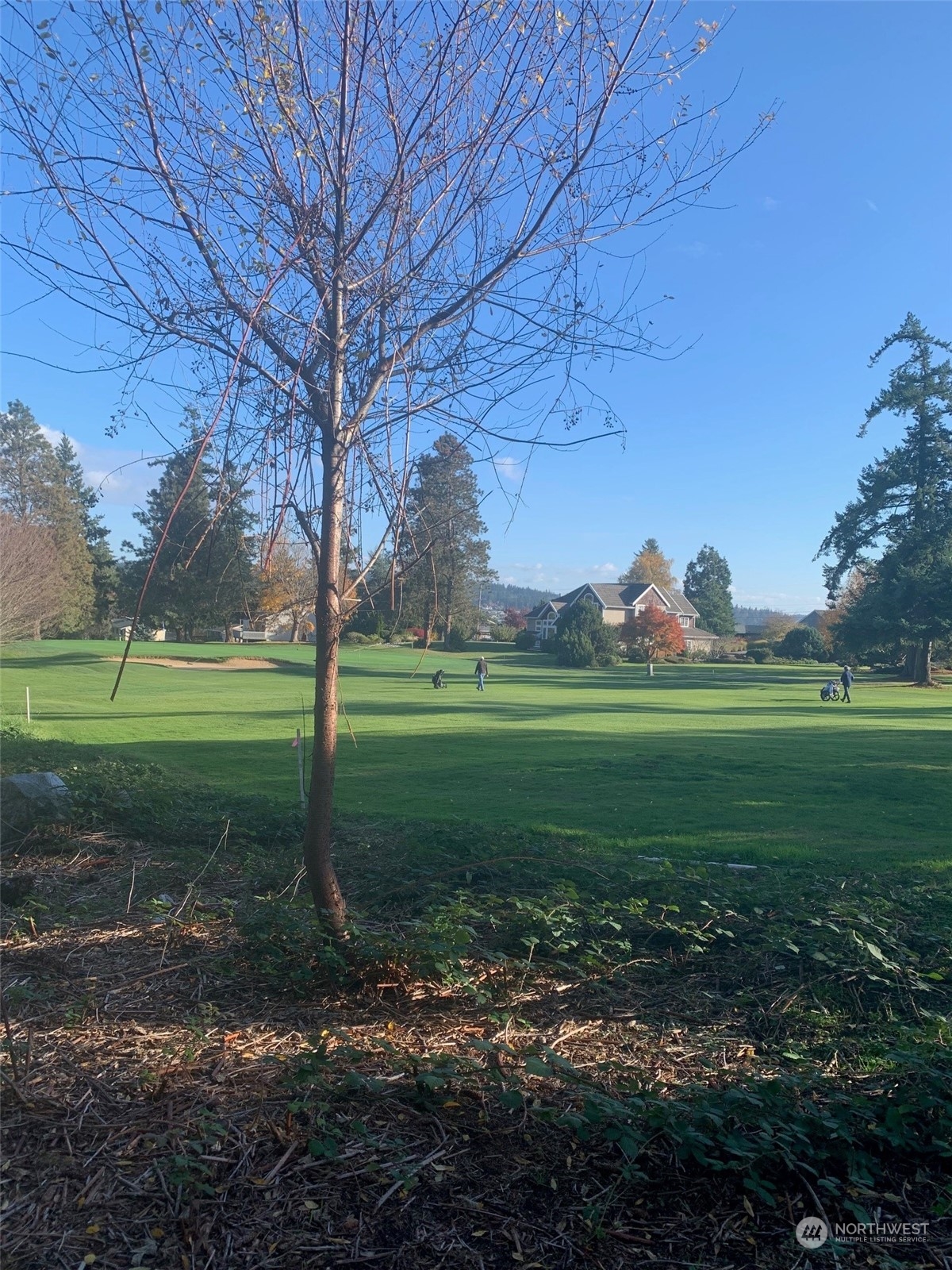 a view of a park