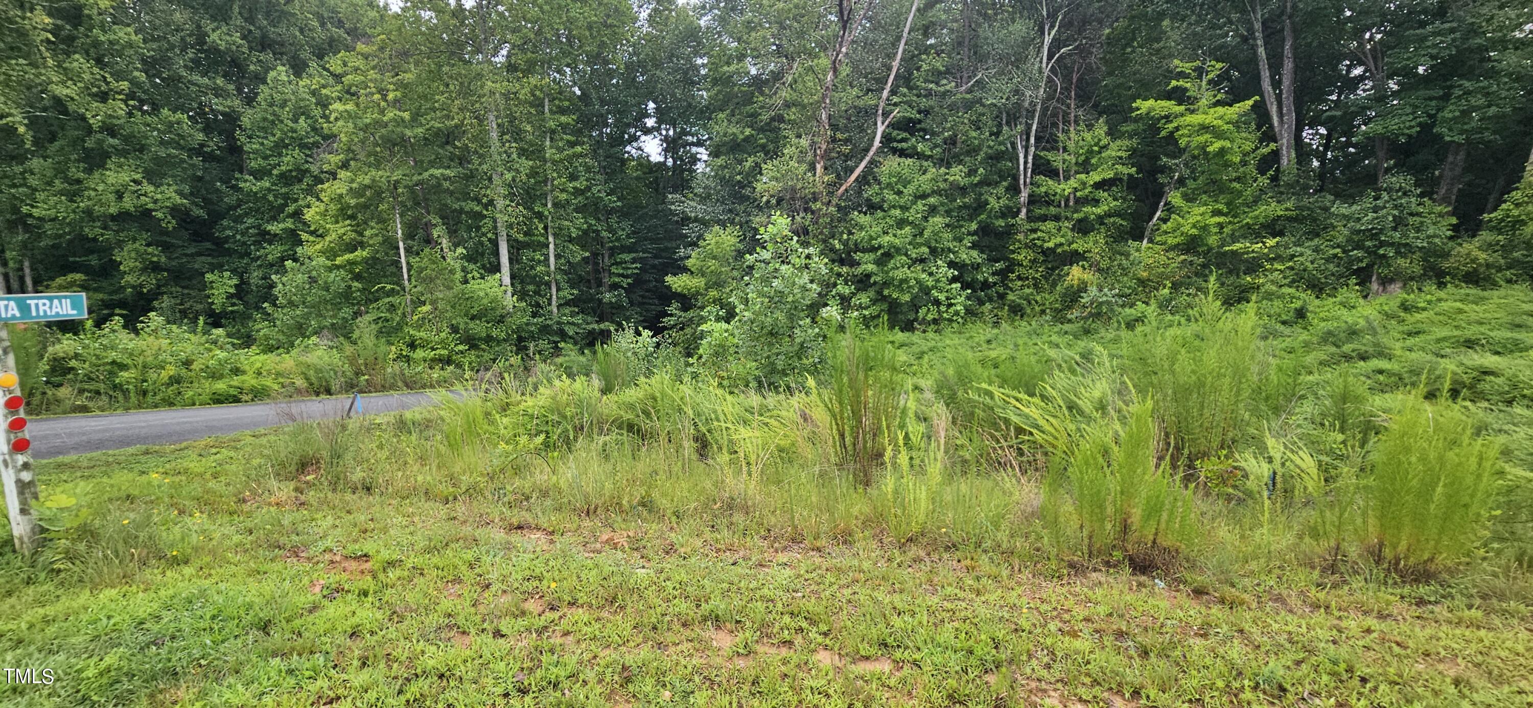 a view of yard with green space