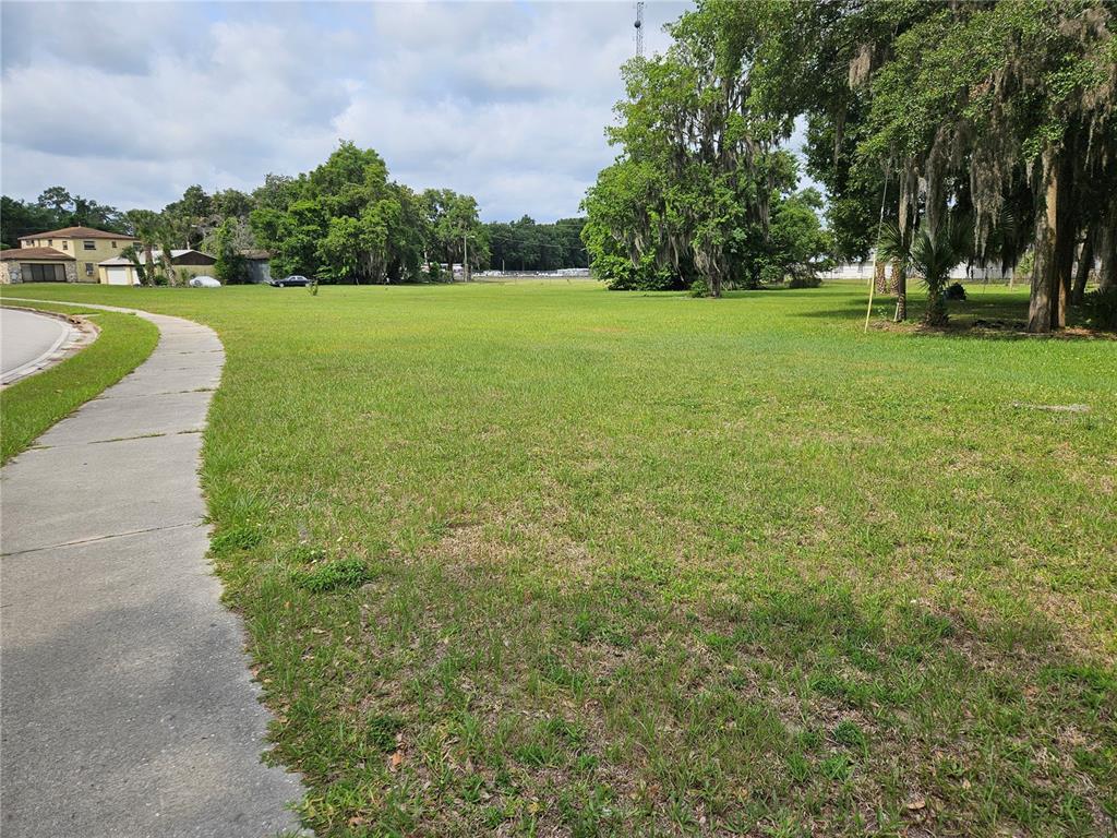 a view of a grassy field with trees