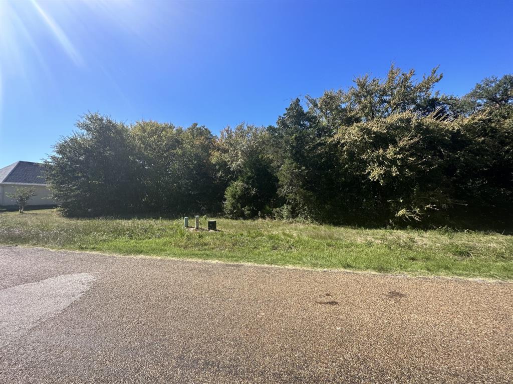 a view of a field and trees in the background