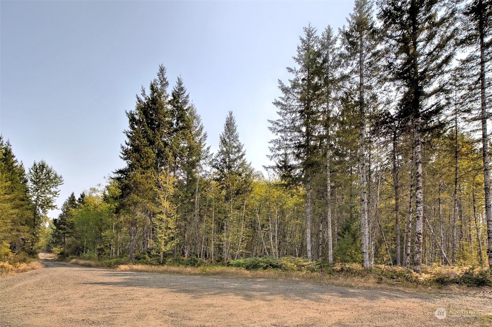 a view of house with trees