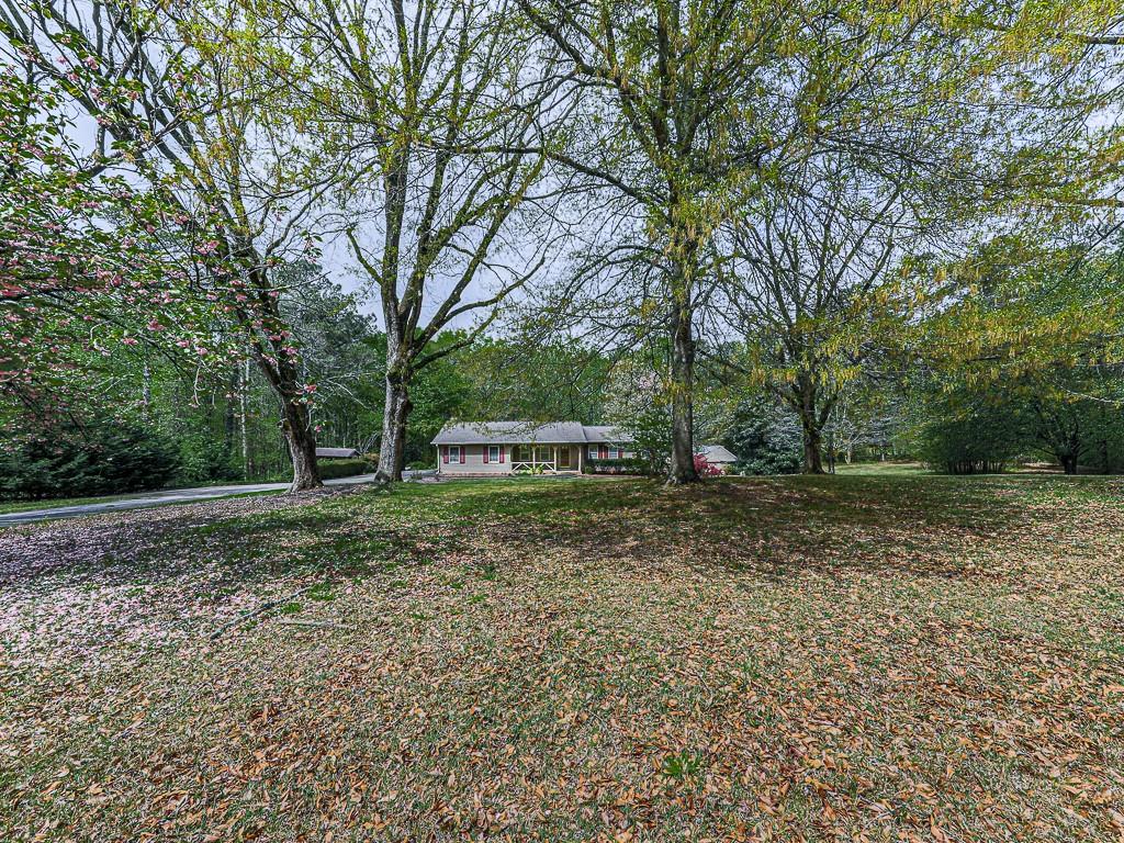 a backyard of a house with trees and entertaining space