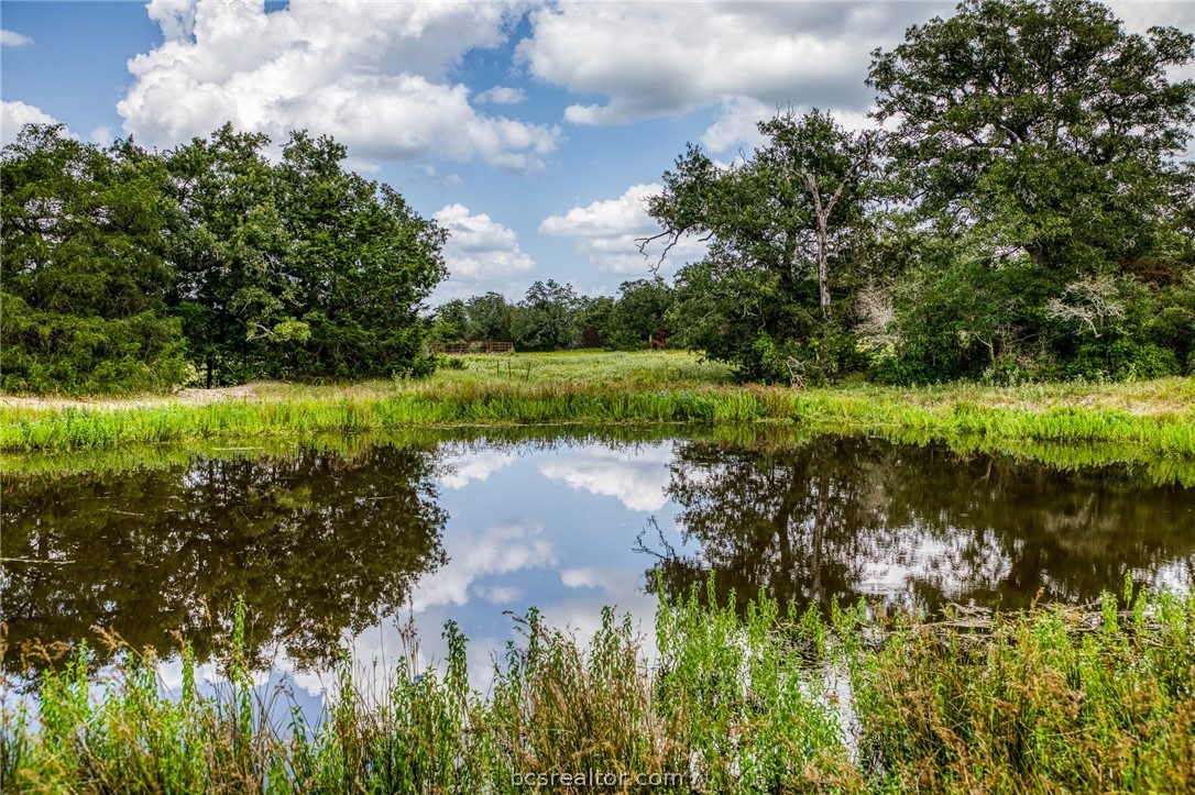 a view of a lake with a yard