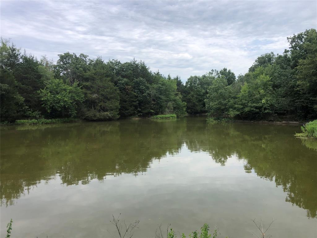 a view of a lake from a yard