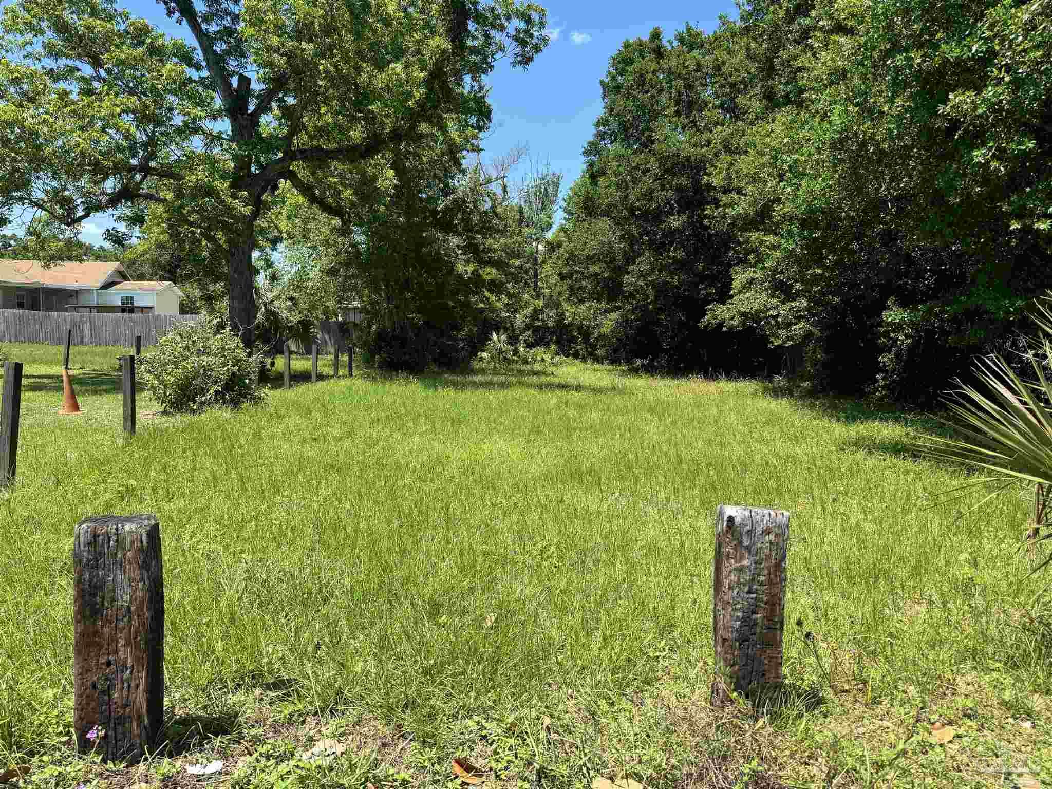 a view of a garden