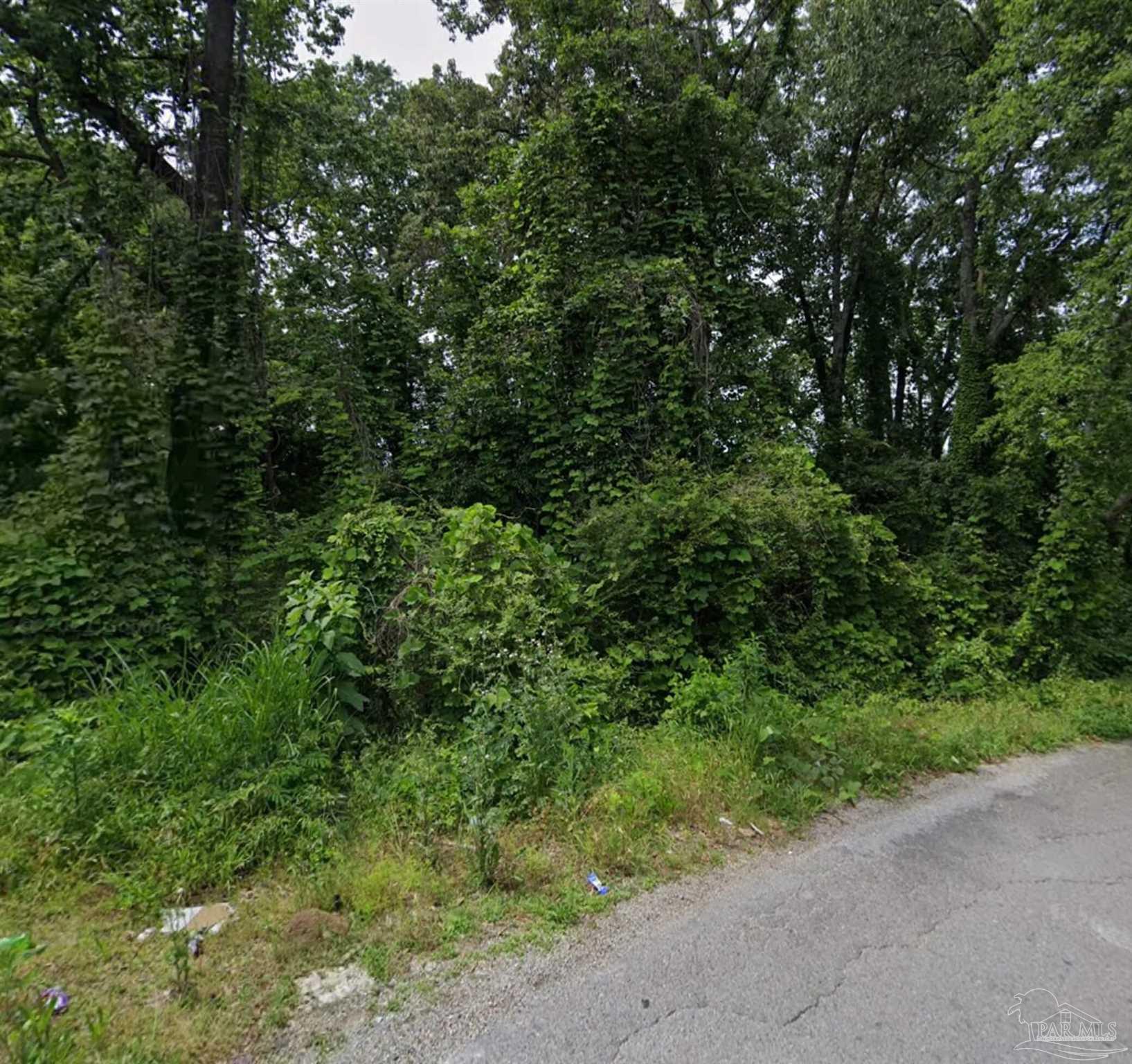 a view of a lush green forest